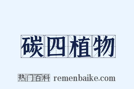 碳四植物是什么意思的图片